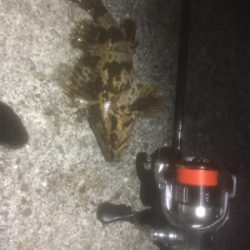 チャリンコランガン