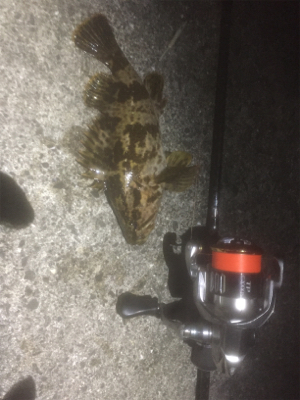 チャリンコランガン