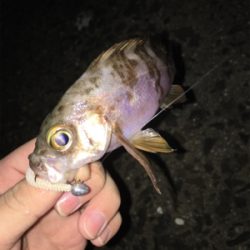 明日朝5時起きですが…