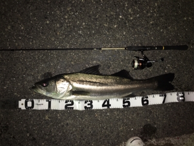 夜中に奈良から淡路へ