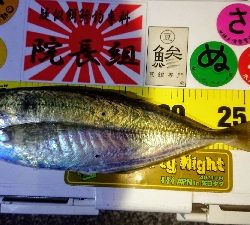 撃沈からアゲアゲまた凹み