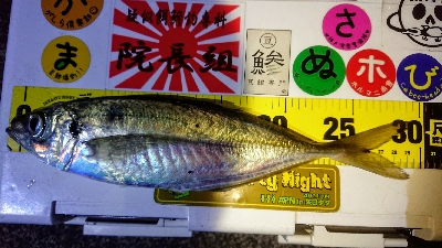 撃沈からアゲアゲまた凹み