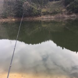 布目ダム ワカサギ