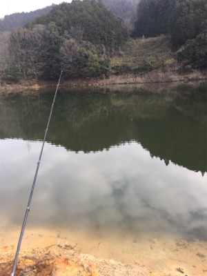 布目ダム ワカサギ