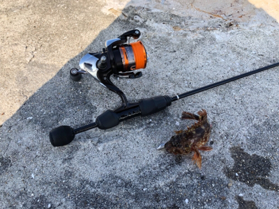 釣り日和だか…