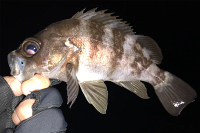 ガッツリのウェーディングのはずが…