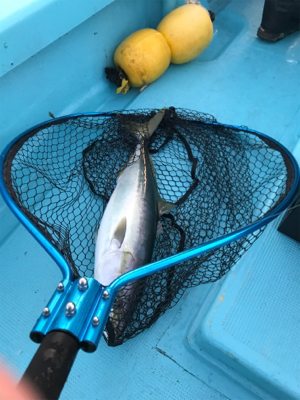 スロージギング