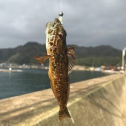 2018初フィッシュ