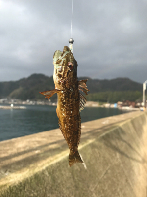 2018初フィッシュ