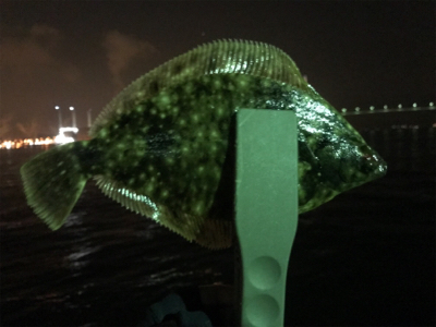 メバリングでカレイ