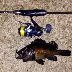 休憩メバリング