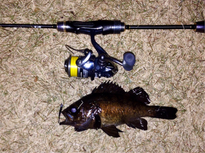 休憩メバリング