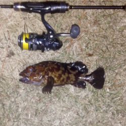 休憩メバリング