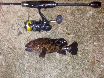 休憩メバリング