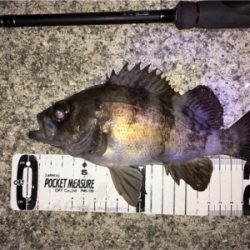 大寒波でもメバリング