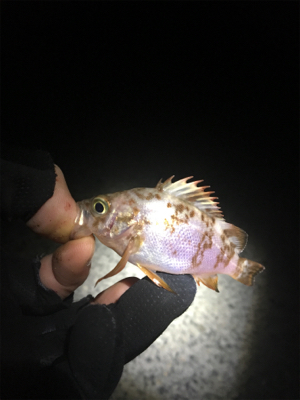 シンプルに寒い