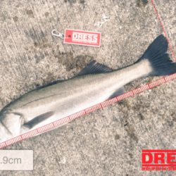 厳寒のデイシーバス