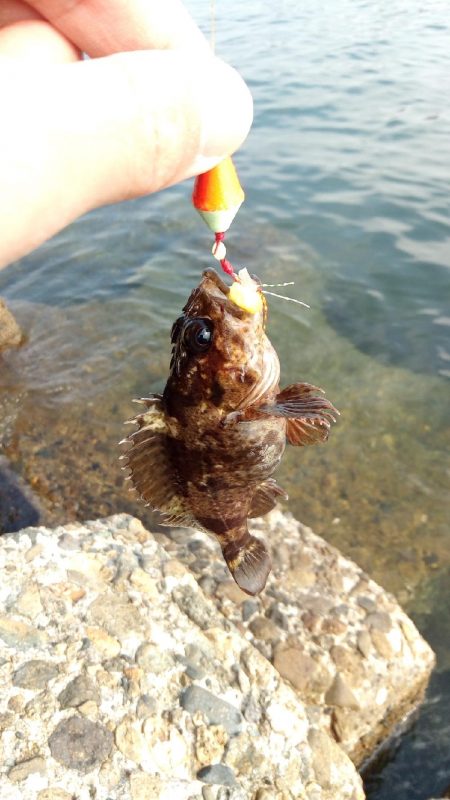 高砂 紀州釣り 穴釣り