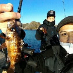 ナイトは寒すぎ！！そんな時はデイメバル！！