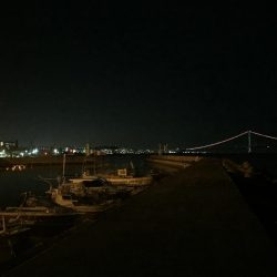 極寒のガシラ釣り