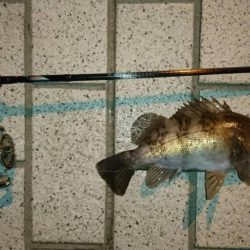 月下美人ロッド鱗付け