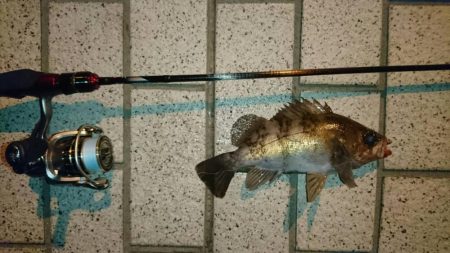 月下美人ロッド鱗付け