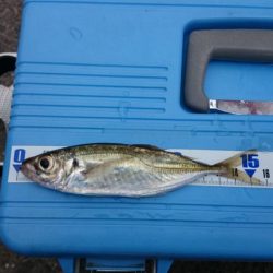 大物狙いのハズが…