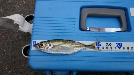 大物狙いのハズが…