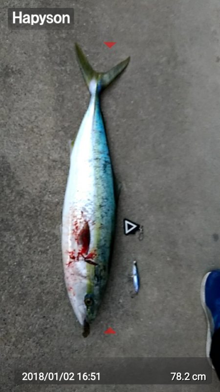 年始からええ事おこった