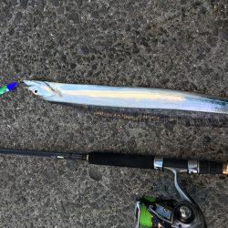 極寒強風ショアジギング