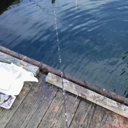 冬の釣り堀田尻