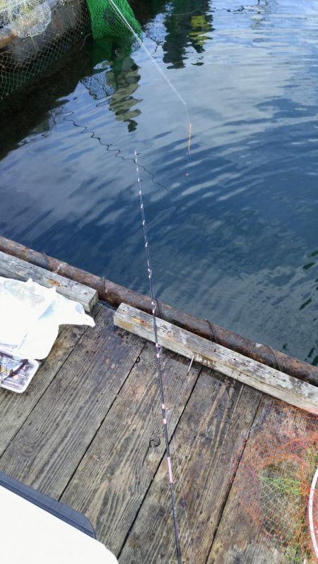 冬の釣り堀田尻