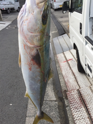 ついにきたーーーーー！