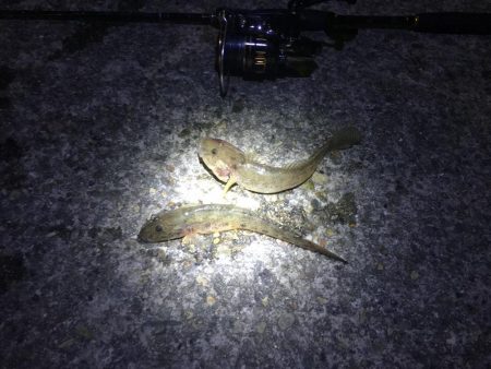 冬のフェリーターミナルにて