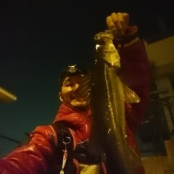 ようやくセイゴ脱出♪