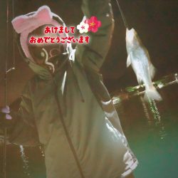 釣り初め!県南調査!セイゴ★ガシラ爆釣★