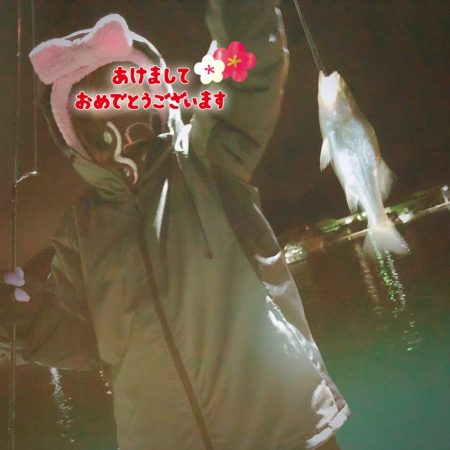 釣り初め!県南調査!セイゴ★ガシラ爆釣★