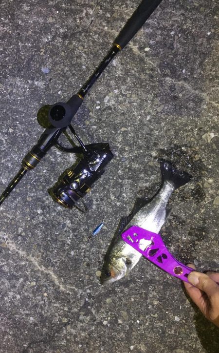 まだまだ南港、楽しいで！