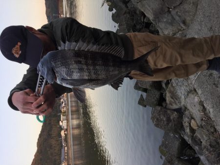 絶品！古座川の青のりチヌ