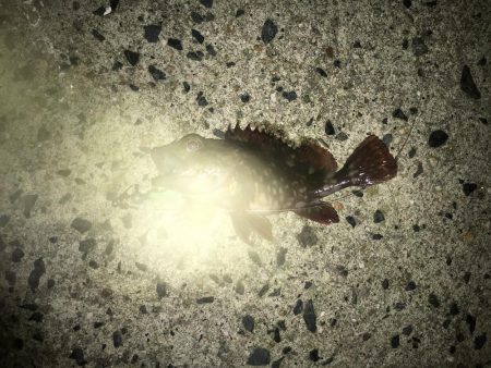 帰り際になんとか