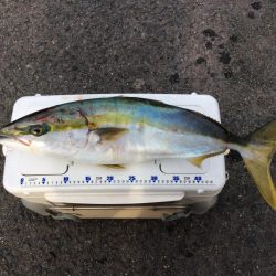 朝イチにヒット