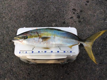 朝イチにヒット