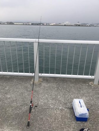 カワハギ デカ！