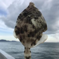 カワハギ釣り
