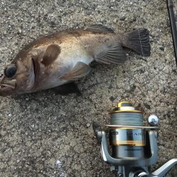 アタリは短時間