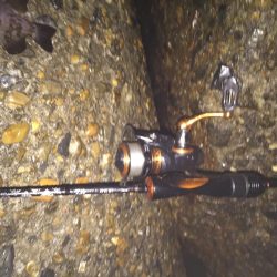 楽しいメバリング!