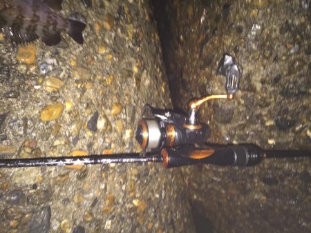 楽しいメバリング!