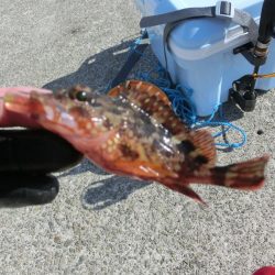 練習がてらライトゲーム