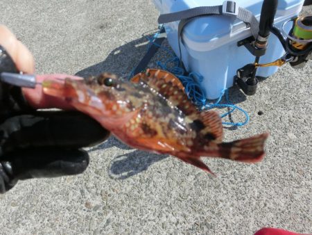 練習がてらライトゲーム