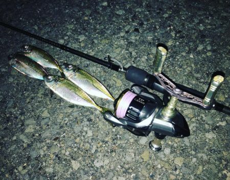 短時間アジング